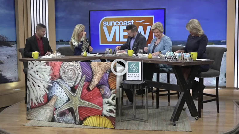 suncoast view art lesson