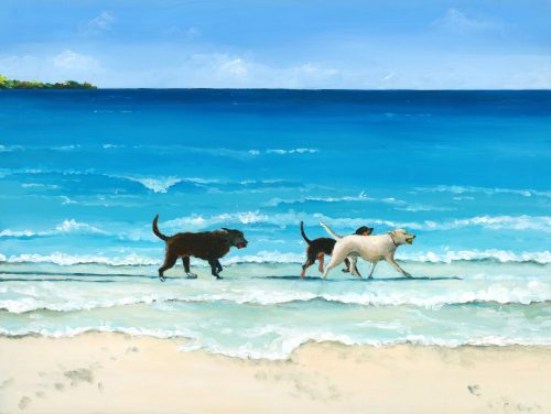 Ruff Waters